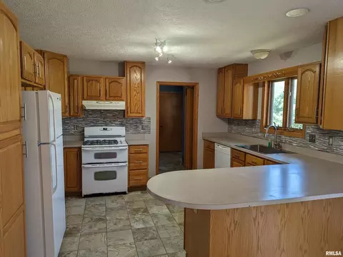 207 E 4th St, Mineral, IL 61344 photo 6