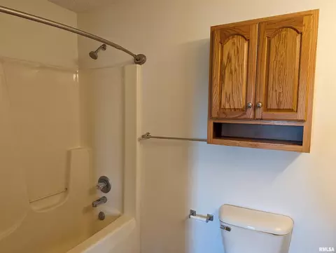 207 E 4th St, Mineral, IL 61344 photo 9