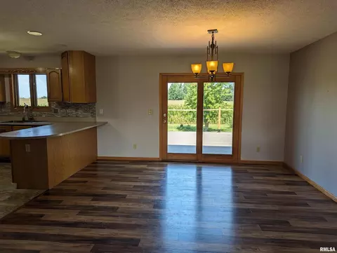 207 E 4th St, Mineral, IL 61344 photo 5
