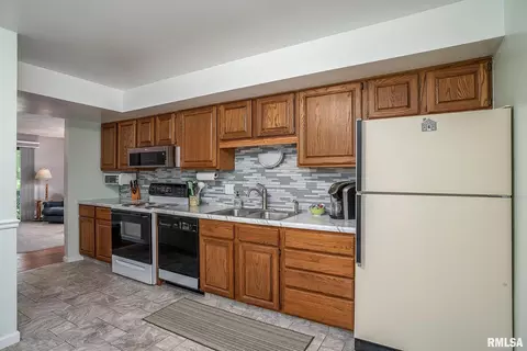 20 Cherry Hill Ct, Hampton, IL 61256 photo 6