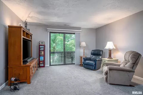 20 Cherry Hill Ct, Hampton, IL 61256 photo 8