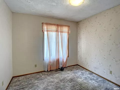 6550 Penrose Rd, Fulton, IL 61252 photo 18