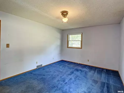 6550 Penrose Rd, Fulton, IL 61252 photo 22