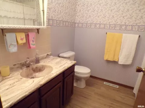 304 Marlane Dr, Alpha, IL 61413 photo 12