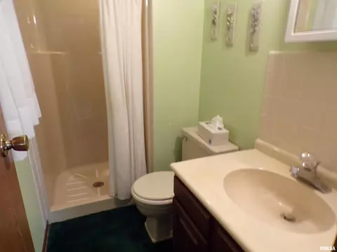304 Marlane Dr, Alpha, IL 61413 photo 15