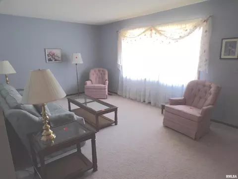 304 Marlane Dr, Alpha, IL 61413 photo 11