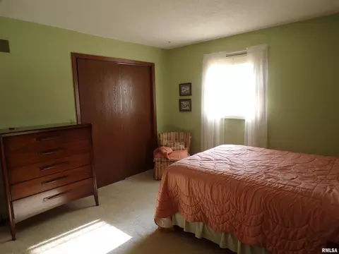 304 Marlane Dr, Alpha, IL 61413 photo 14