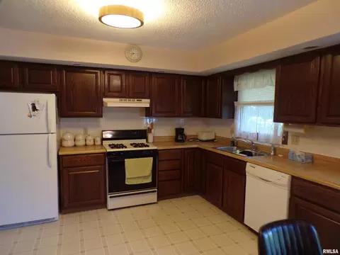 304 Marlane Dr, Alpha, IL 61413 photo 8