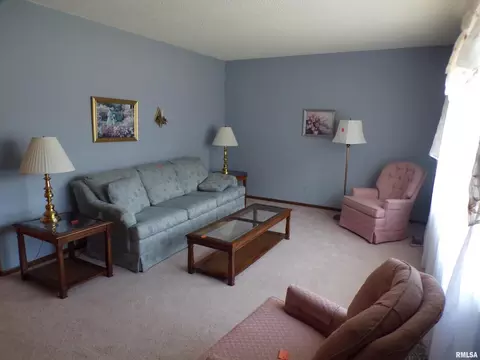 304 Marlane Dr, Alpha, IL 61413 photo 10