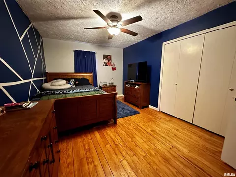 602 S Beacon Ave, Broughton, IL 62817 photo 23