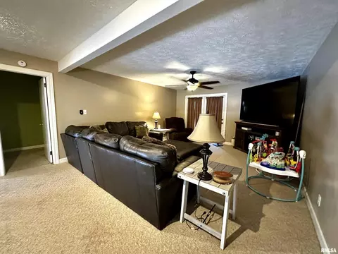 602 S Beacon Ave, Broughton, IL 62817 photo 20