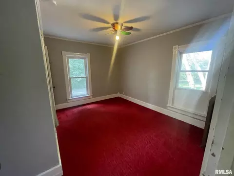 620 NW 3rd Ave, Galva, IL 61434 photo 19