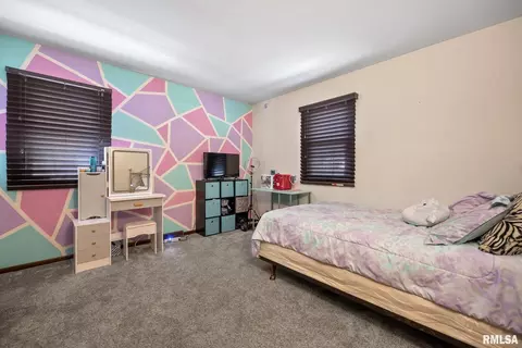 1013 4th St #A, Hampton, IL 61256 photo 12
