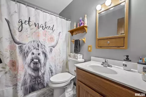1013 4th St #A, Hampton, IL 61256 photo 10