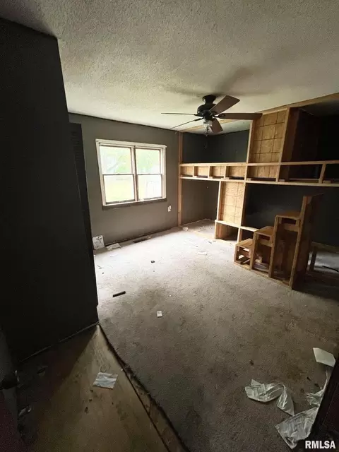 290 Lee Evans St, Hull, IL 62343 photo 11