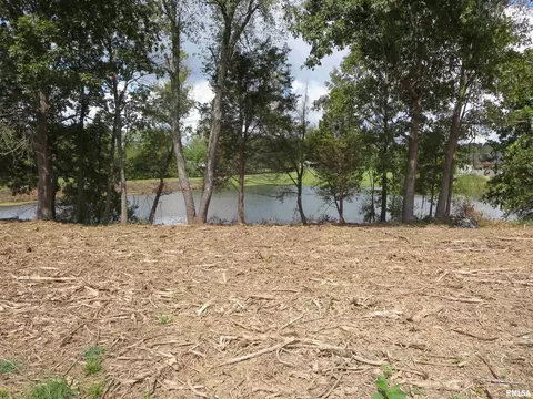 1516 Squires Pt, Pittsburg, IL 62974