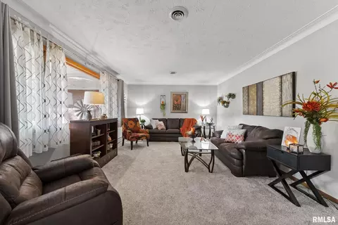 501 14th Avenue Ct, Hampton, IL 61256 photo 5