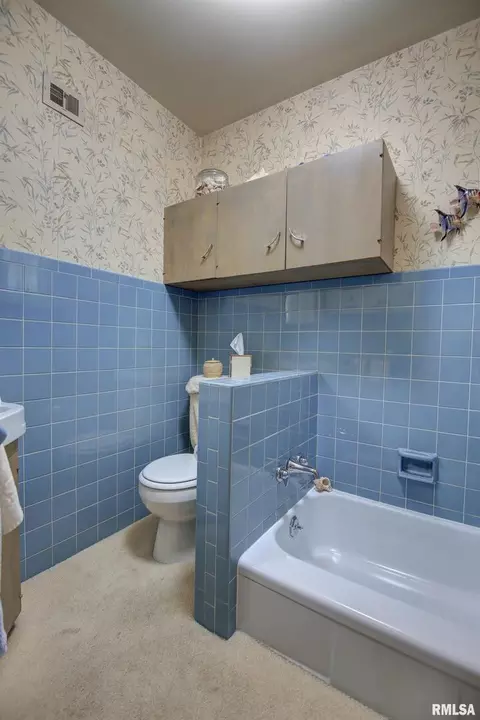 102 12th St, Fulton, IL 61252 photo 23