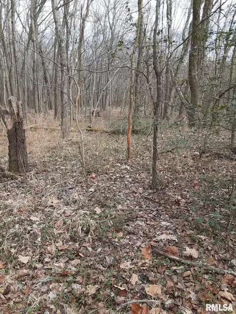 555 E Karel Park Rd, Eldorado, IL 62930 photo 51