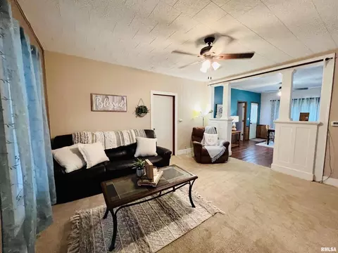 890 135th St, Joy, IL 61260 photo 5