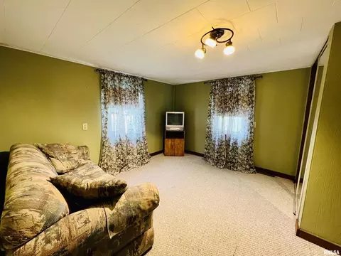 890 135th St, Joy, IL 61260 photo 17