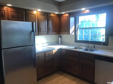 525 E Mcclure St, Kewanee, IL 61443 photo 16
