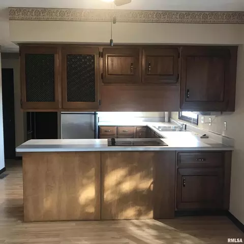 525 E Mcclure St, Kewanee, IL 61443 photo 25