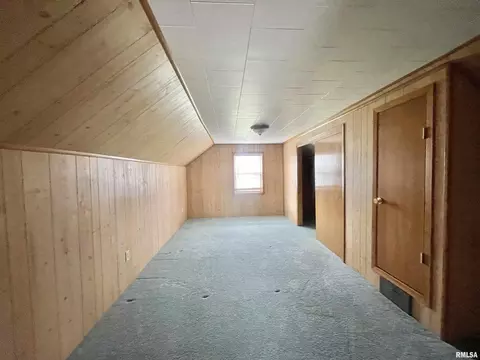 1120 16th Ave, Fulton, IL 61252 photo 17