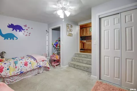 3665 Grandview Pl, Thomson, IL 61285 photo 19