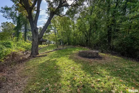 733 10th Avenue Ct, Hampton, IL 61256 photo 45