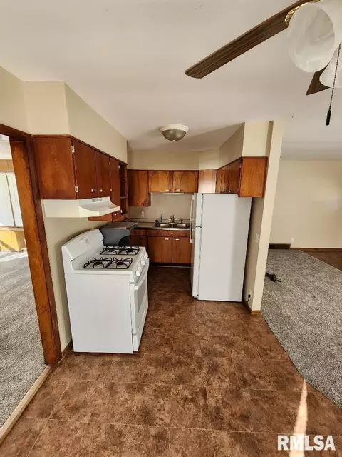 217 Pine St, Morrison, IL 61270 photo 13