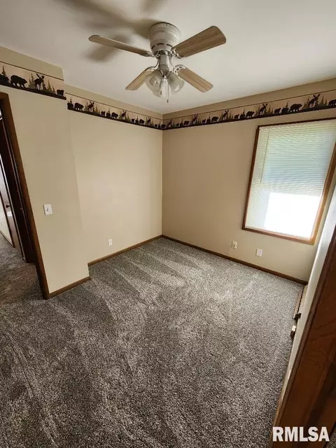 217 Pine St, Morrison, IL 61270 photo 21