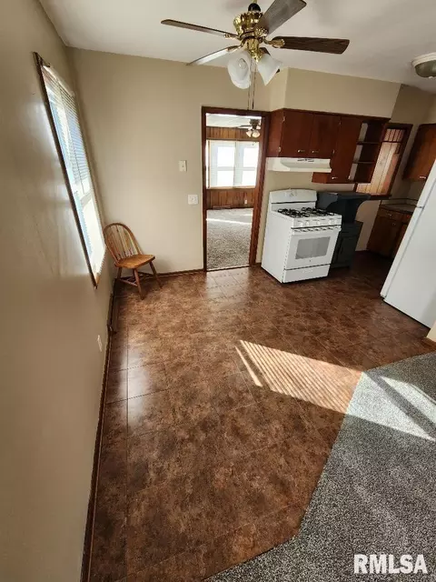 217 Pine St, Morrison, IL 61270 photo 14