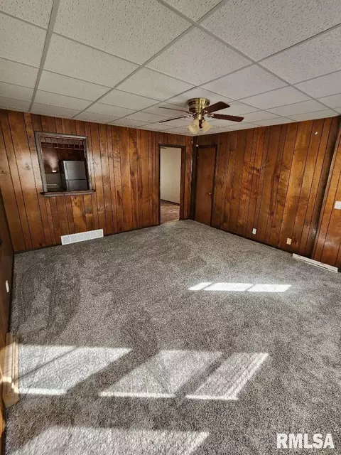 217 Pine St, Morrison, IL 61270 photo 11