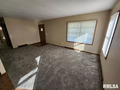 217 Pine St, Morrison, IL 61270 photo 5