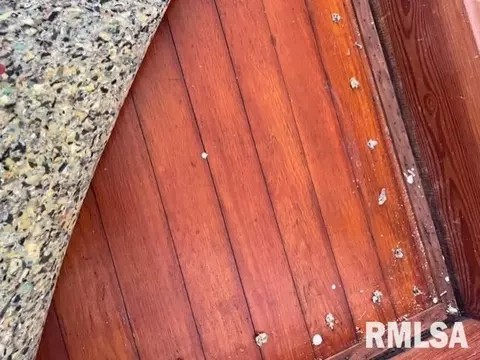 807 14th Ave, Fulton, IL 61252 photo 8