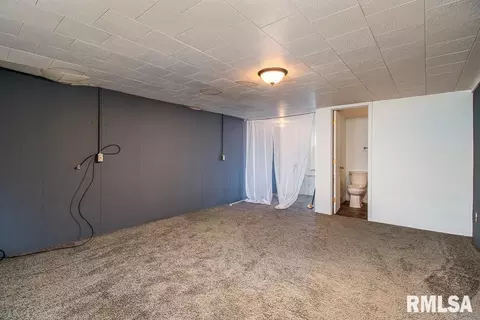 310 E North St, Cambridge, IL 61238 photo 23