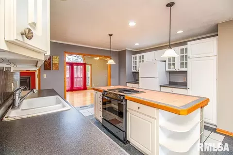 310 E North St, Cambridge, IL 61238 photo 10