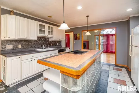 310 E North St, Cambridge, IL 61238 photo 9