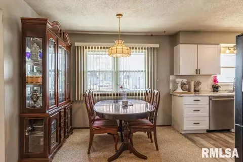 1315 10th St, Fulton, IL 61252 photo 5