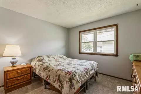 1315 10th St, Fulton, IL 61252 photo 10
