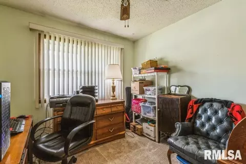 1315 10th St, Fulton, IL 61252 photo 12