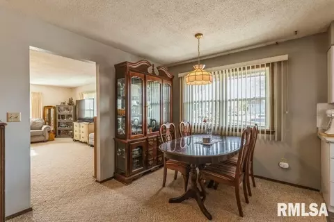 1315 10th St, Fulton, IL 61252 photo 4