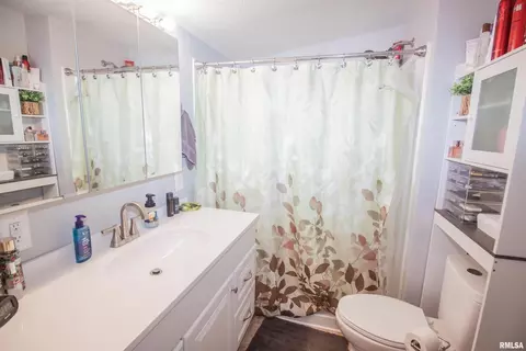 981 247th St, Viola, IL 61486 photo 13