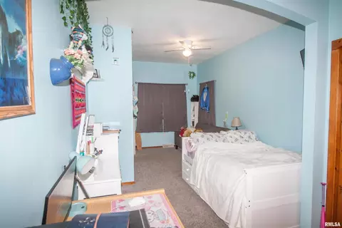 981 247th St, Viola, IL 61486 photo 16