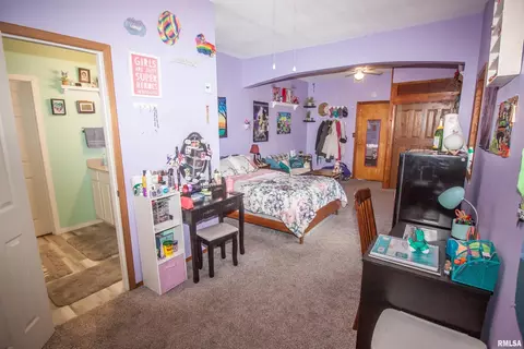 981 247th St, Viola, IL 61486 photo 20