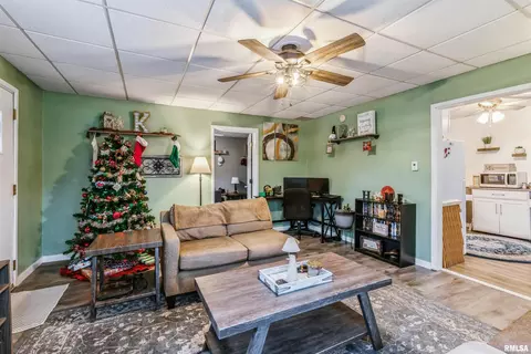 317 12th Ave E, Milan, IL 61264 photo 7