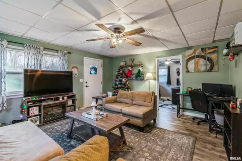317 12th Ave E, Milan, IL 61264 photo 9