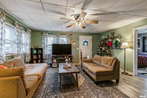 317 12th Ave E, Milan, IL 61264 photo 10