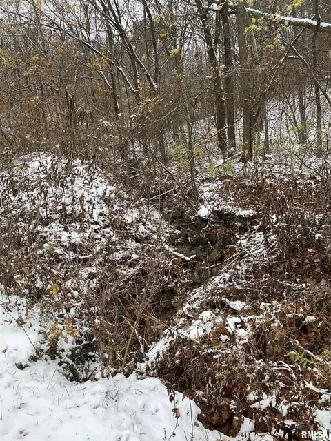 lot4 79th Ave W, Andalusia, IL 61232